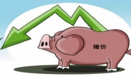 猪价最新爆料图片大全,最新爆料图片大盘点，揭秘市场动态